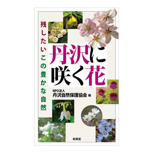 丹沢に咲く花