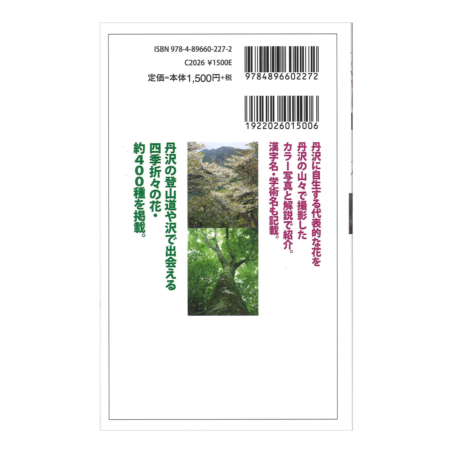 丹沢に咲く花