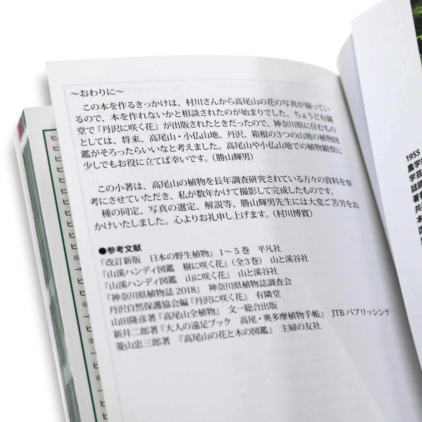 高尾山に咲く花