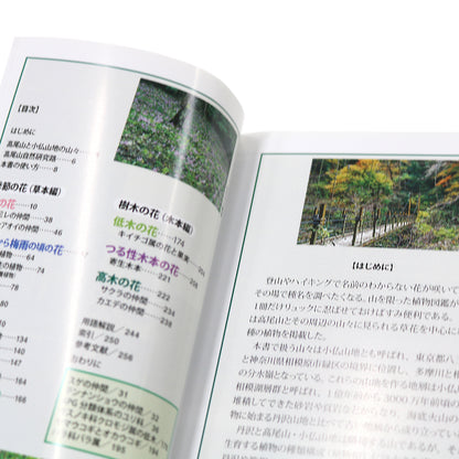 高尾山に咲く花