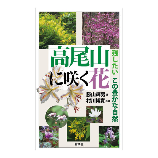 高尾山に咲く花