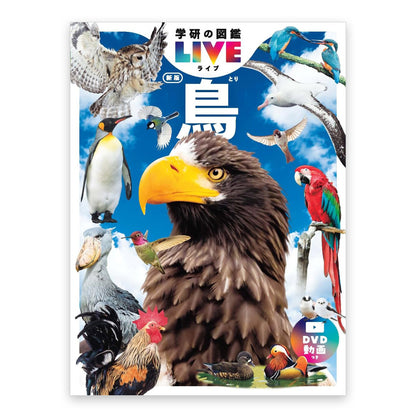 学研の図鑑LIVE  鳥 新版