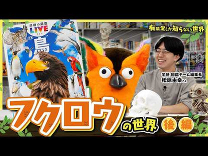学研の図鑑LIVE  鳥 新版