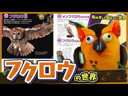 学研の図鑑LIVE  鳥 新版
